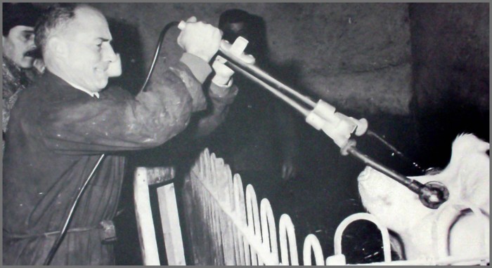 Ugo Cerletti administering electric shocks to pig to kill them