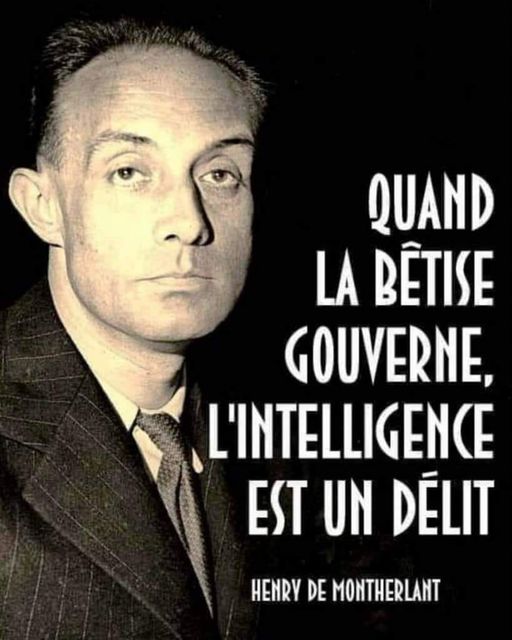 Quand la btise gouverne, l'intelligence est un dlit